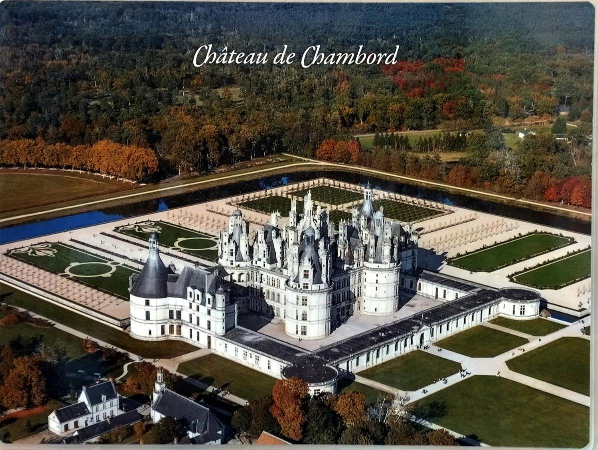 Vila Gite Du Domaine De Juliette Location Proche Du Zoo De Beauval Et Des Chateaux Selles-sur-Cher Exteriér fotografie